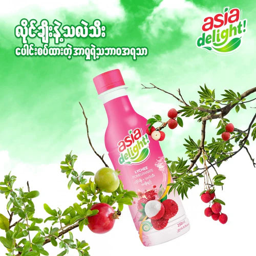 Asia Delight Lychee Pome Juice 250ml