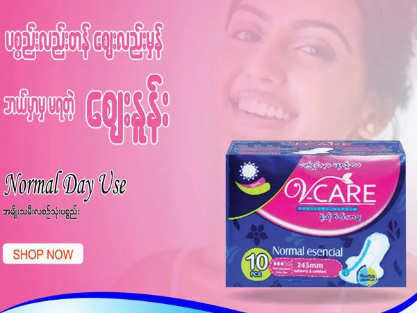 V-Care 245 mm (Day Use) 10's