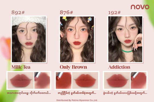 Novo Lipstick (6044) Only Brown 876 #