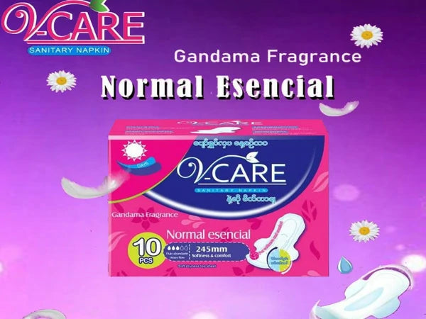 V-Care 245 mm (Day Use With Gandamar Flavour) 10's