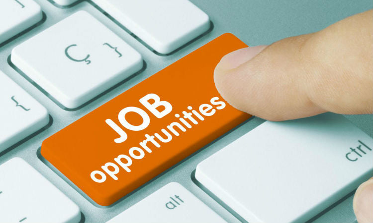 Job Search With Gofresh