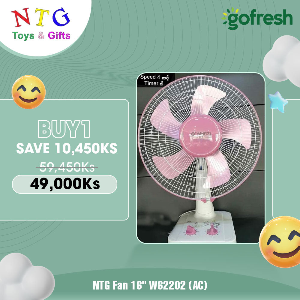 NTG Fan 16" W62201 (AC) Promotion
