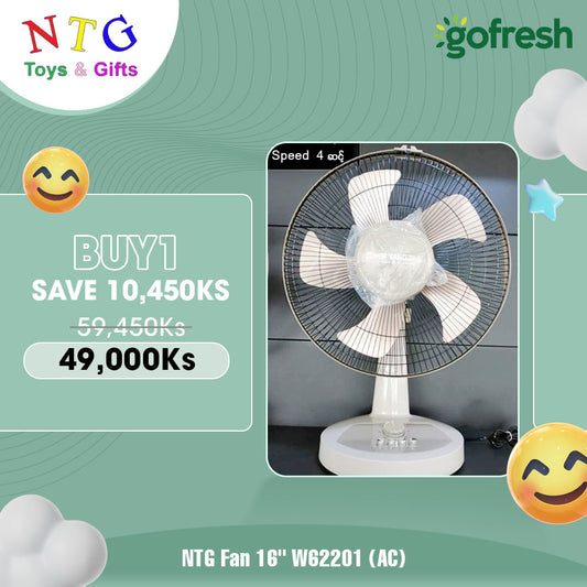 NTG Fan 16" W62202 (AC) Promotion